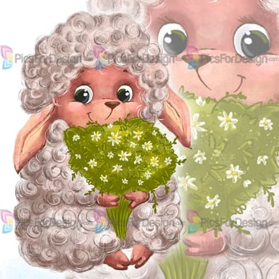 Cute sheep