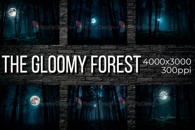 The Gloomy Forest