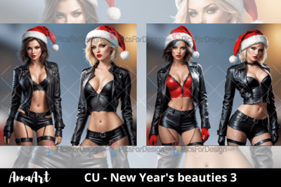 New Year's beauties 3