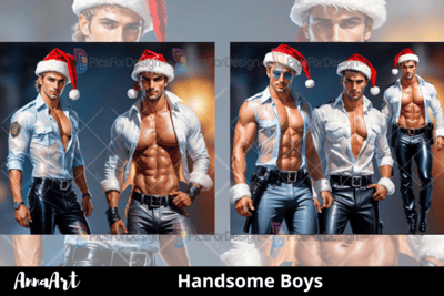 Handsome Boys