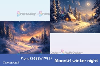 Moonlit winter night