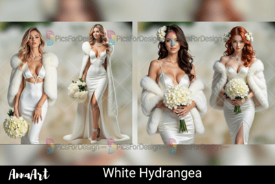 White Hydrangea