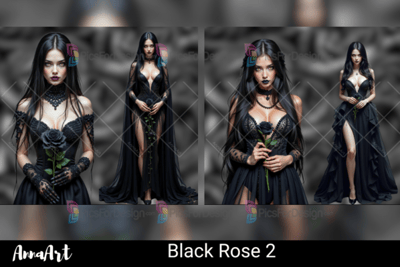 Black Rose 2